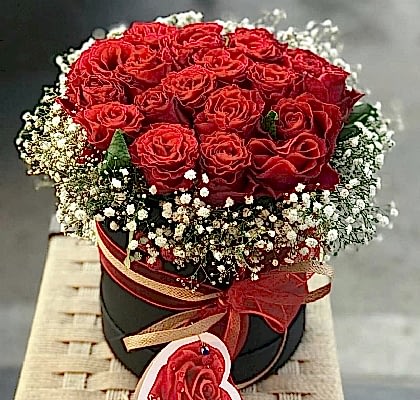 K�rm�z� G�l ve Cipso Hediyesi